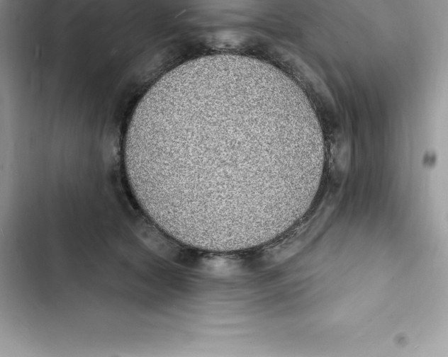 X0000103300561200809191857