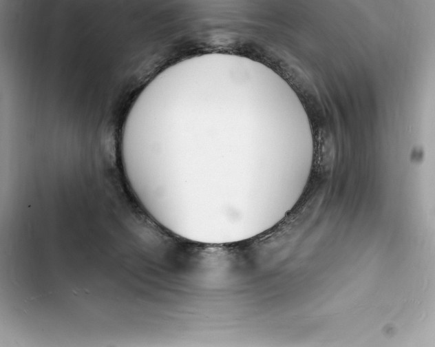 X0000103300562200809191857