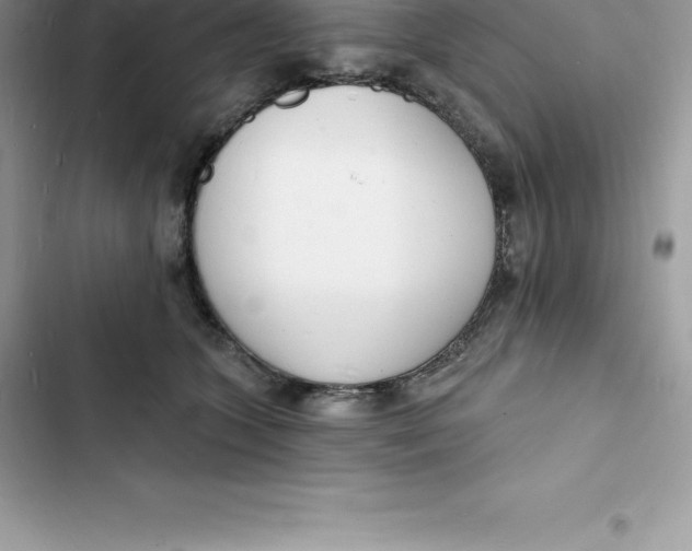 X0000103300563200809191857