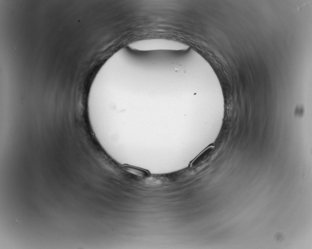 X0000103300566200809191857