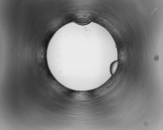 X0000103300567200809191857