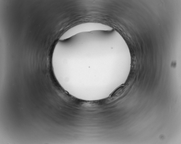 X0000103300568200809191857