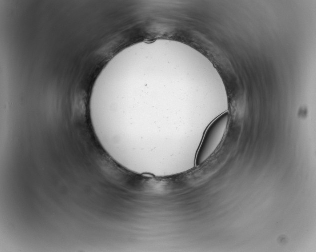 X0000103300570200809191857