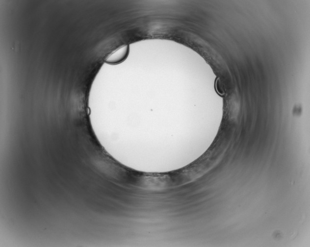 X0000103300571200809191857