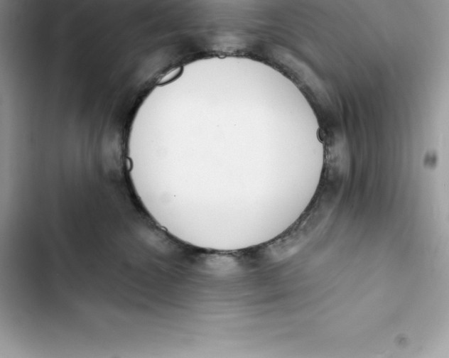 X0000103300572200809191857