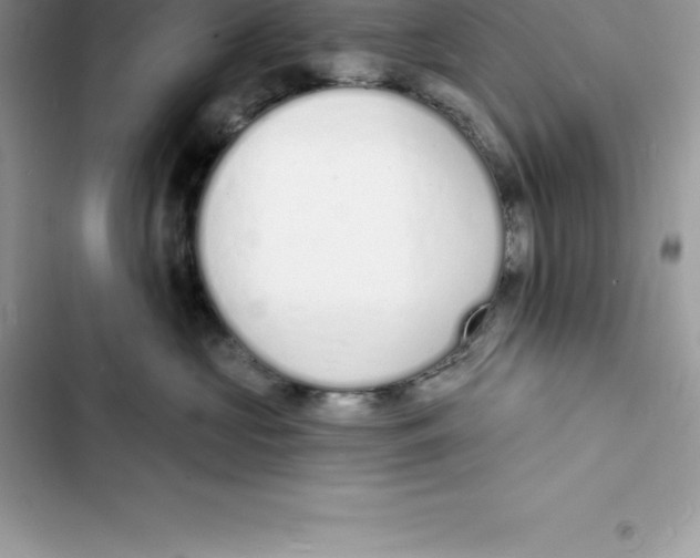 X0000103300573200809191857