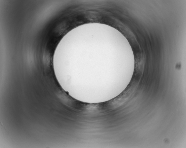 X0000103300574200809191857