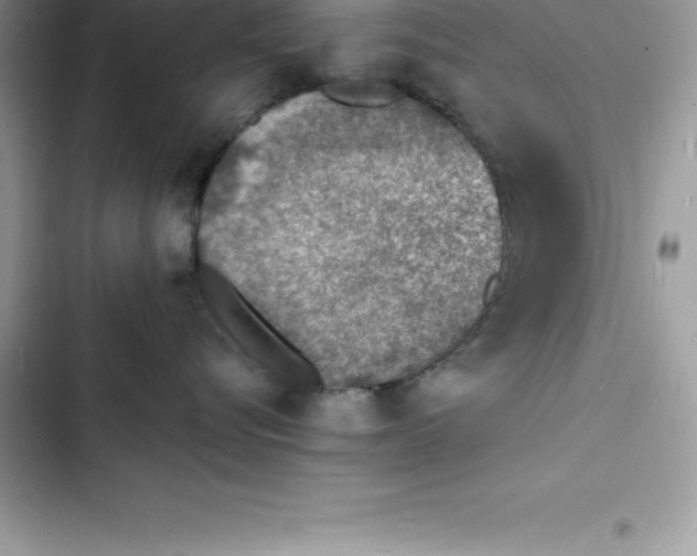 X0000103300576200809191857