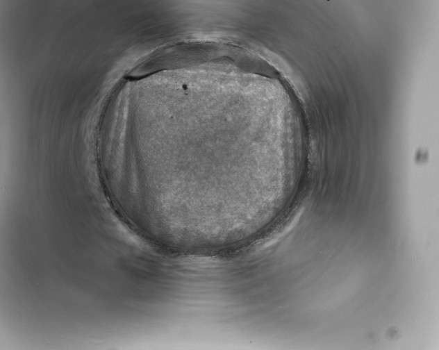 X0000103300577200809191856