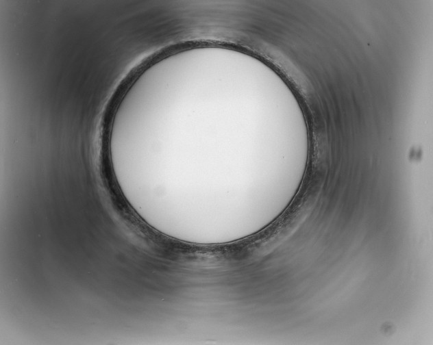 X0000103300580200809191856