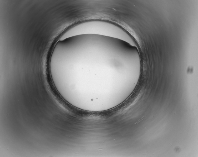 X0000103300581200809191856