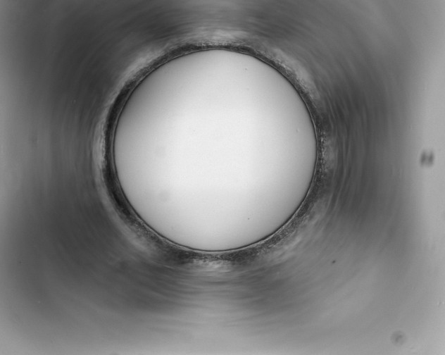 X0000103300582200809191856