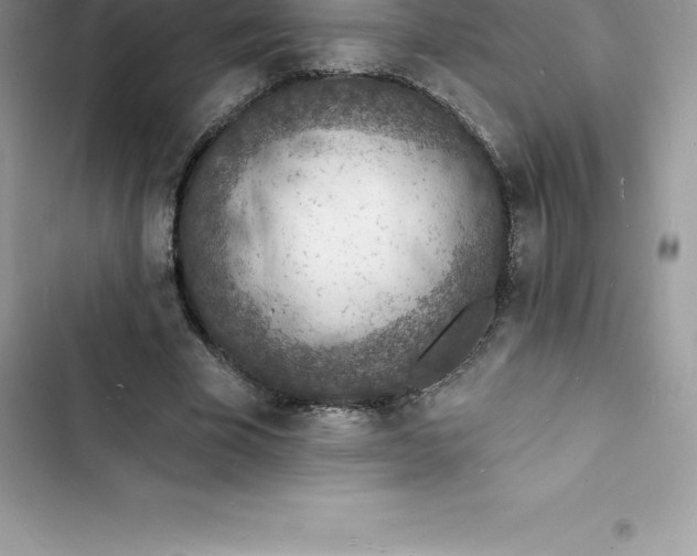 X0000103300585200809191856