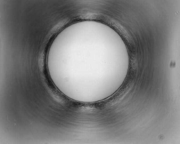 X0000103300586200809191856