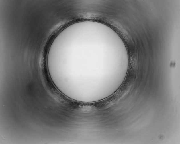 X0000103300587200809191856