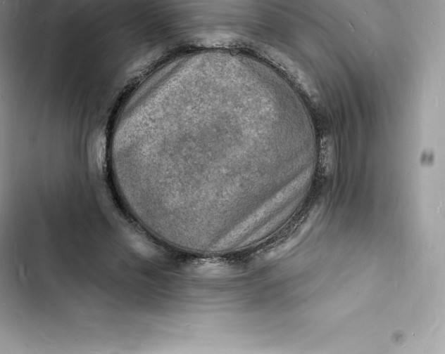 X0000103300589200809191856