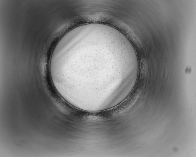 X0000103300590200809191856