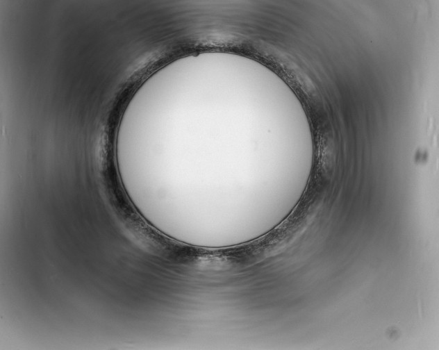 X0000103300591200809191856