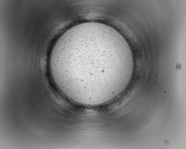 X0000103300592200809191856