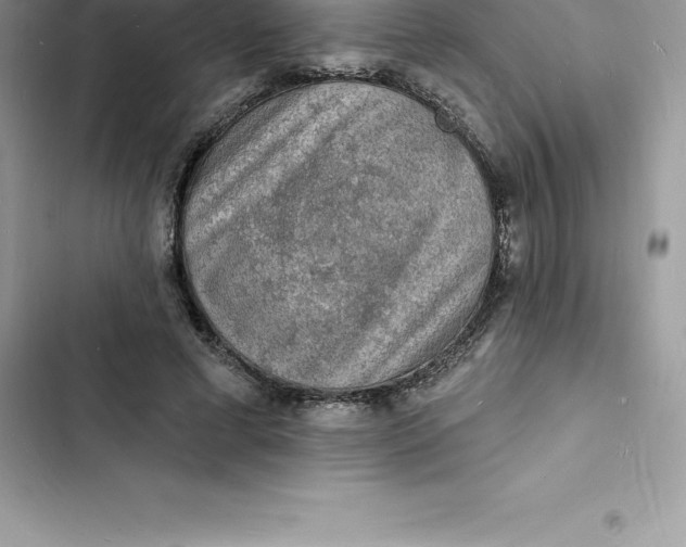 X0000103300593200809191856