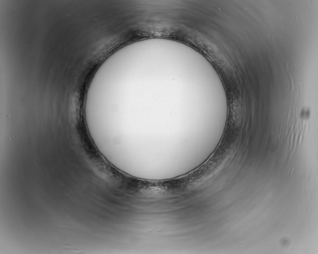 X0000103300594200809191856