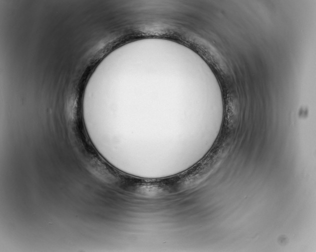 X0000103300596200809191856