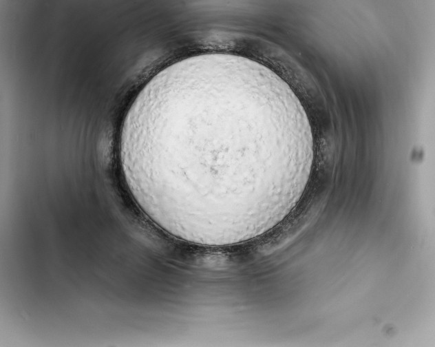 X0000103300600200809191856