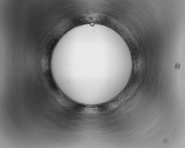 X0000103300606200809191856