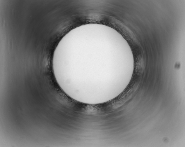 X0000103300608200809191856