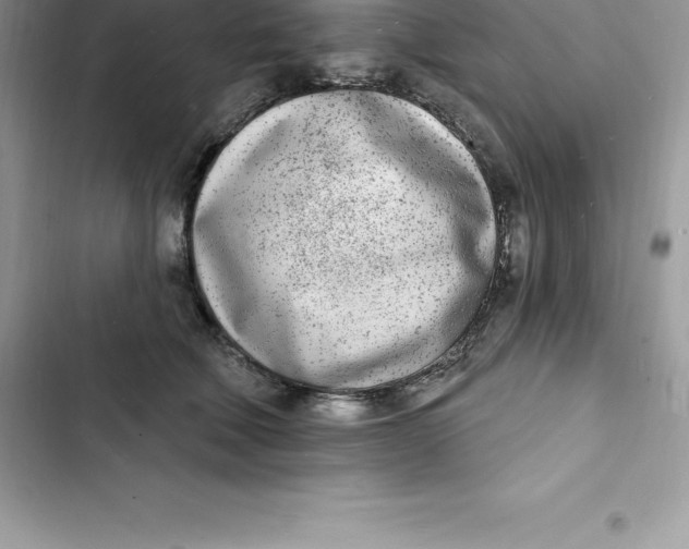 X0000103300610200809191856