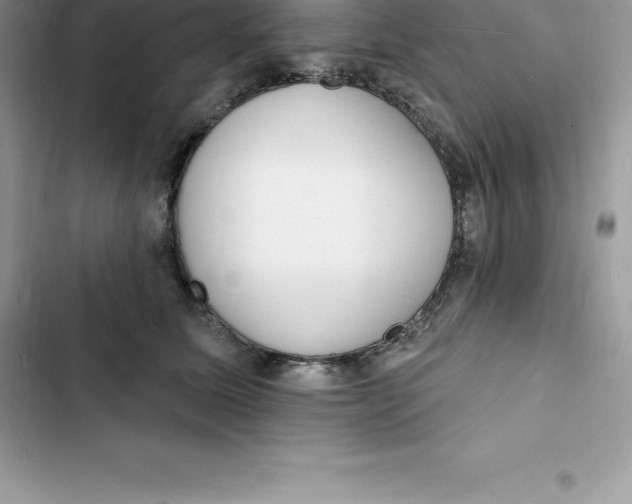 X0000103300611200809191856