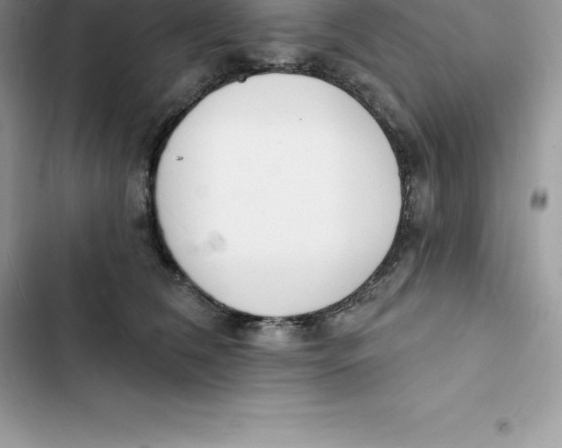 X0000103300612200809191856