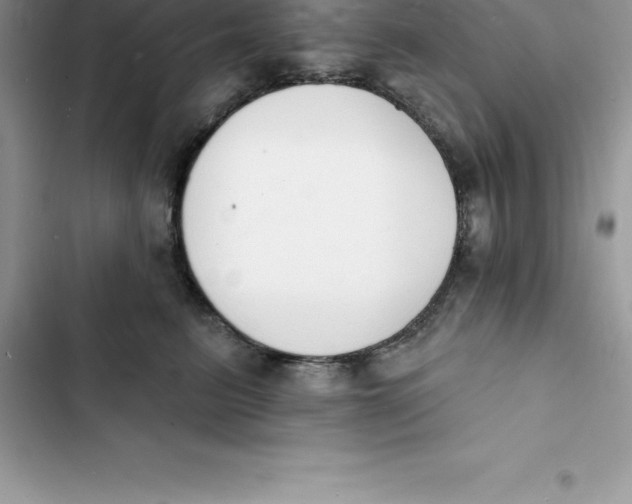 X0000103300615200809191856