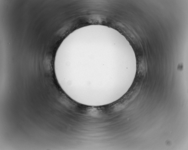 X0000103300616200809191856