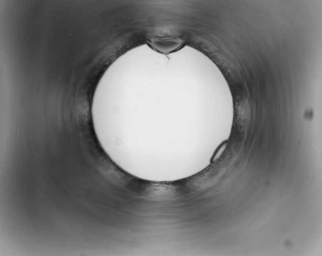 X0000103300617200809191856