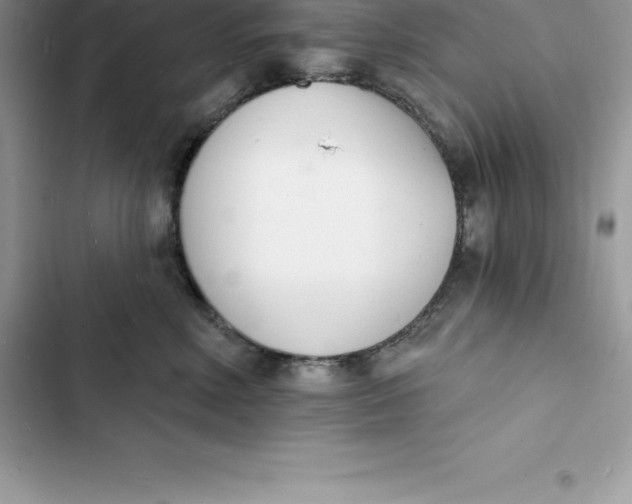 X0000103300618200809191856