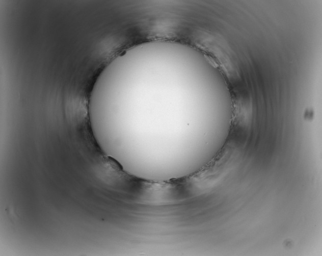 X0000103300621200809191856