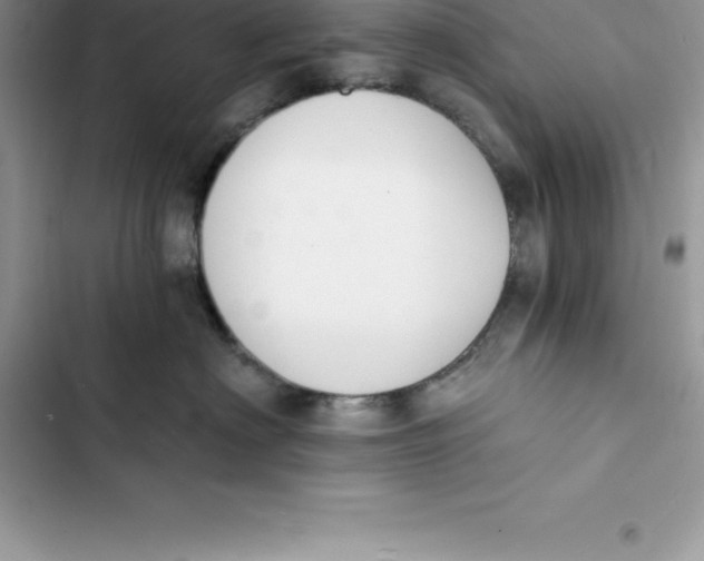 X0000103300622200809191856