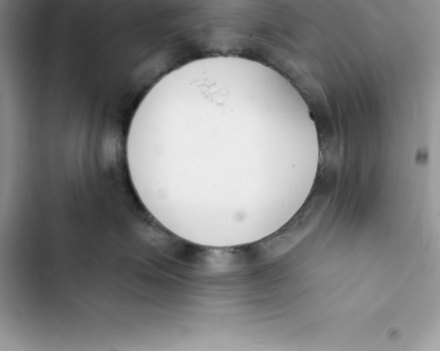 X0000103300623200809191856