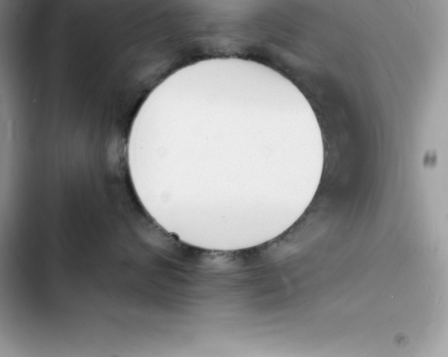 X0000103300624200809191856