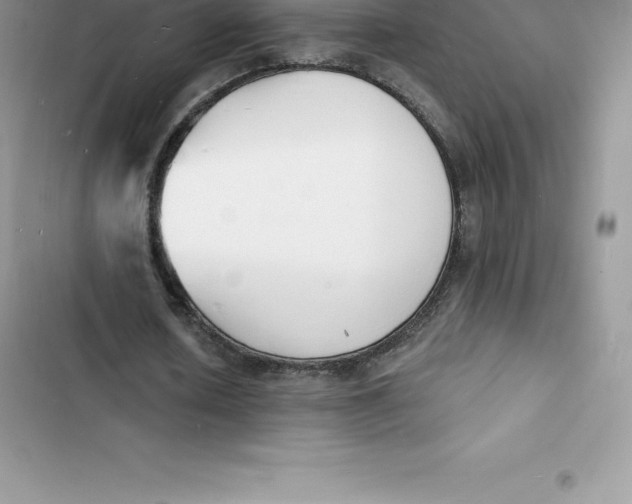 X0000103300626200809191855