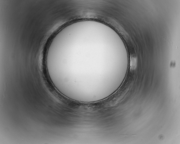 X0000103300627200809191855