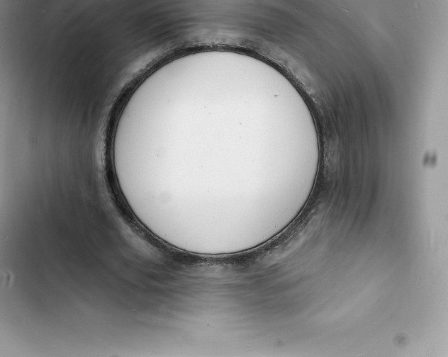 X0000103300629200809191855