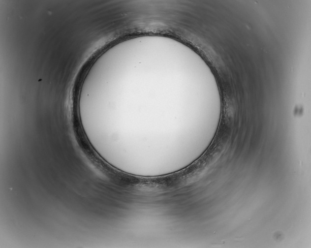 X0000103300630200809191855