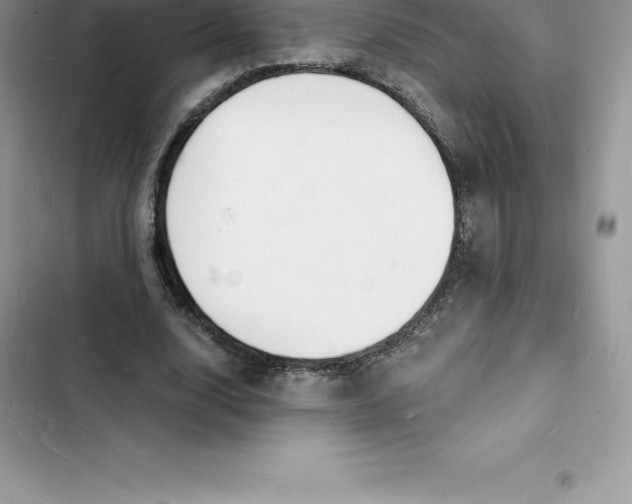 X0000103300632200809191855