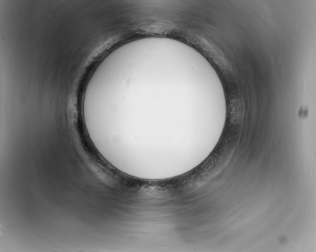 X0000103300634200809191855