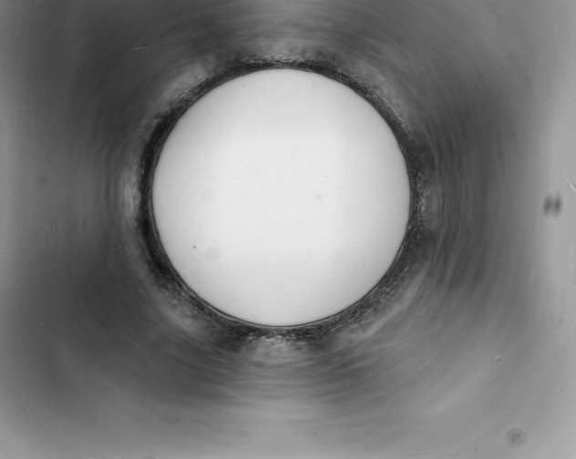 X0000103300635200809191855