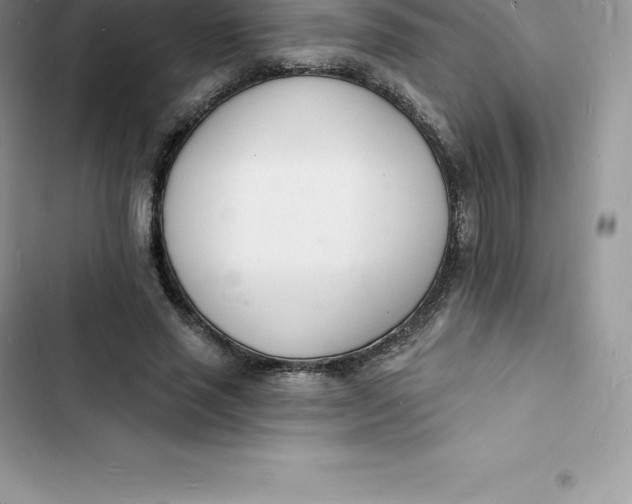 X0000103300637200809191855