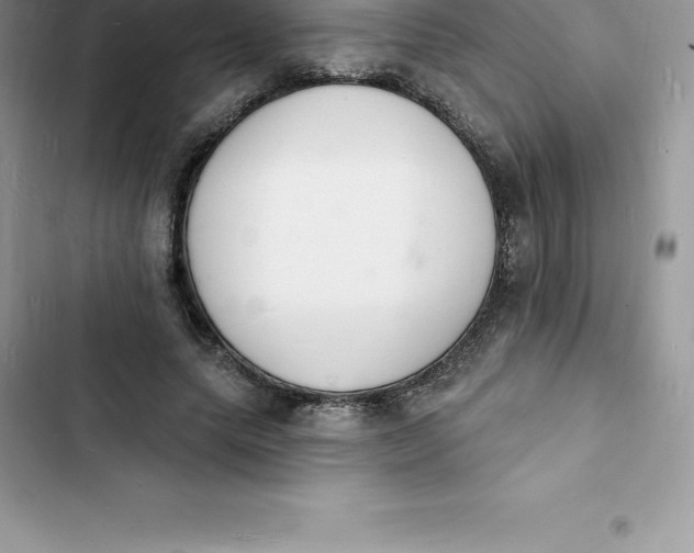 X0000103300639200809191855