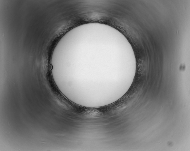 X0000103300642200809191855